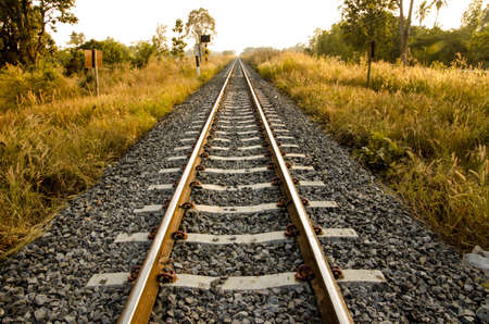 Long railway in the yellow meadowの写真素材