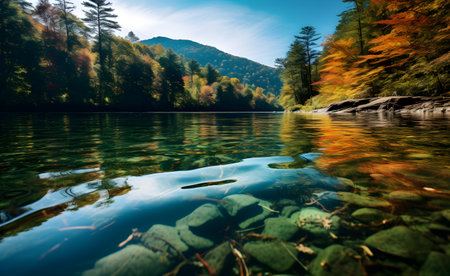 Autumn landscape with colorful forest on the shore of a mountain lakeの素材