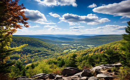 Autumn mountain landscape with colorful forest and blue sky with white cloudsの素材