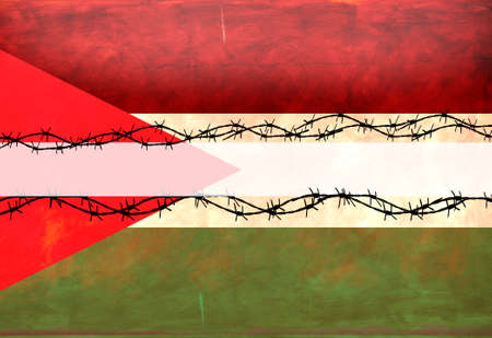 Palestinian Flagの写真素材