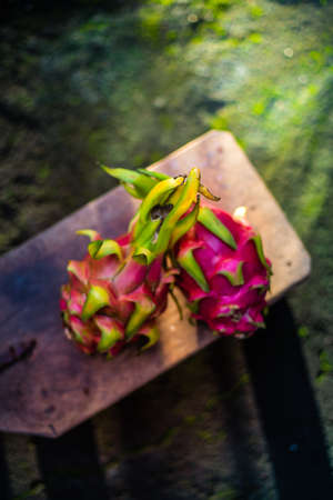 Dragon Fruitの写真素材