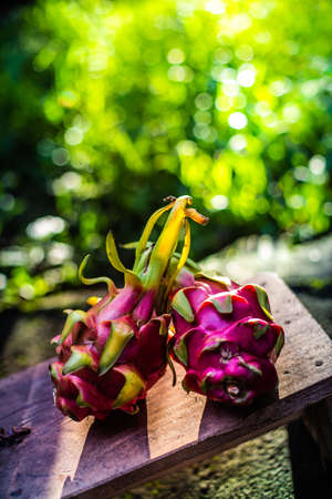 dragon fruitの写真素材