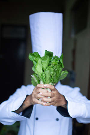 southeast asian chefの写真素材