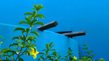 Blue walls with logs