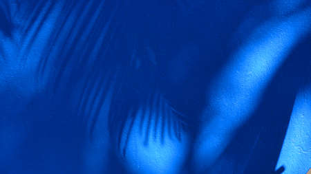 Blue walls with shadow of the tree