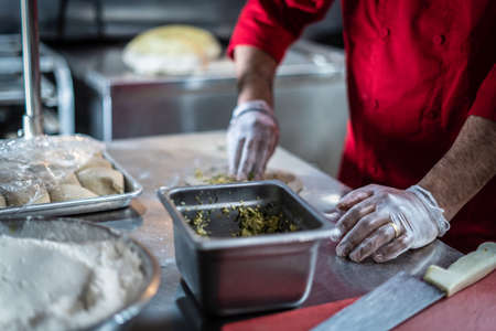 Chef preparing cooking and serving indian cuisine style dish