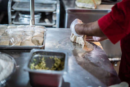 Chef preparing cooking and serving indian cuisine style dish