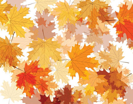 Autumn background with maple leaves. のイラスト素材