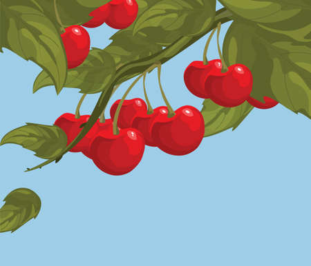 Delicious cherry on a branch. Spring Summer. Vectorのイラスト素材