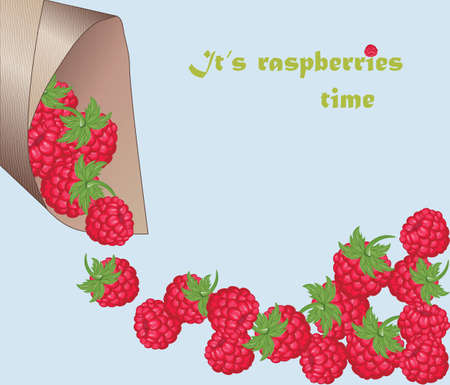 Raspberry time. Fresh Red Raspberry background in paper wrap. Vectorのイラスト素材