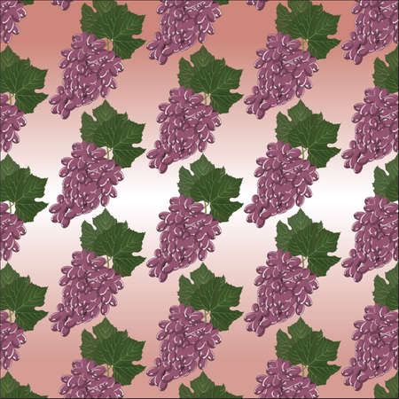 Grapes clusters pattern. Vectorのイラスト素材