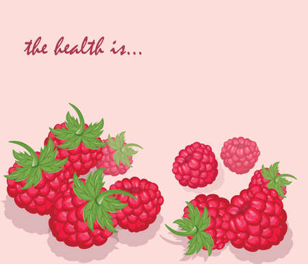 Red Raspberry background. Vectorのイラスト素材
