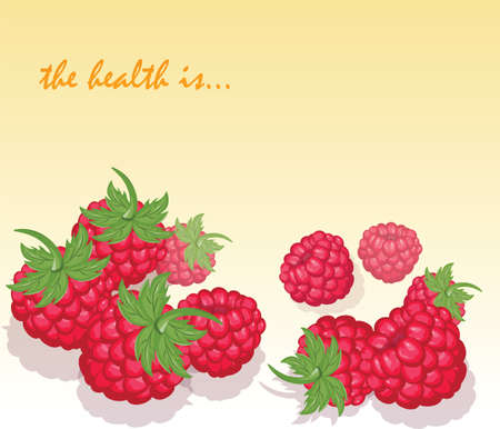 Fresh Healthy Red Raspberry background. Vectorのイラスト素材