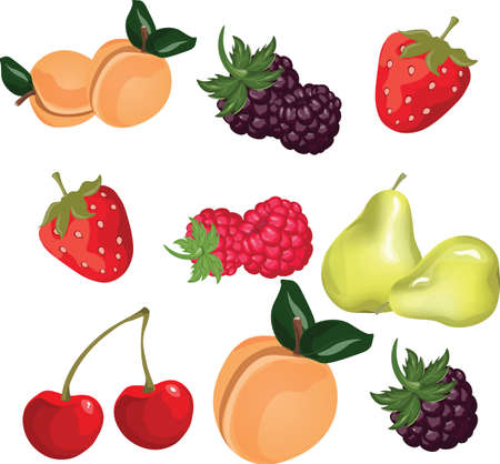 Summer fruits set. Vectorのイラスト素材