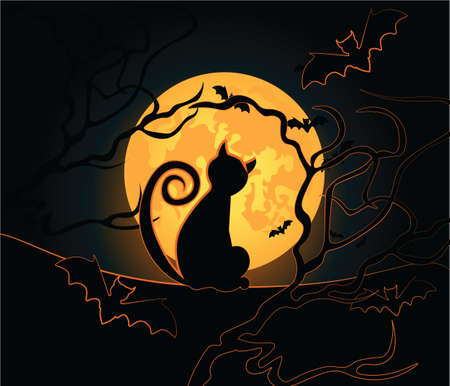 Halloween background with black cat, night moon, sky and bats. Vectorのイラスト素材