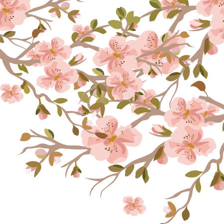 Vintage Watercolor Flowers Background. Blooming Apple Flowers. Flower blossom tree branch. Vintage background for textile, texture, wallpaper, invitation, greeting cards, wedding etcのイラスト素材