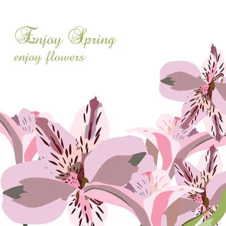 Lily flowers bouquet card. Watercolor flowers illustration. Vintage Elegant Card illustration for Women's day, birthday, Wedding, Ceremony, Anniversaryのイラスト素材