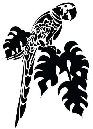 Parrot bird isolated on white. Vector sketch black colorのイラスト素材