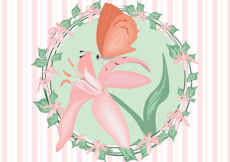 Butterfly set Colorful collection Vectorのイラスト素材