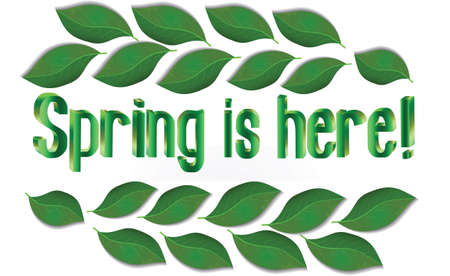 Spring Text with leaves Vectorのイラスト素材