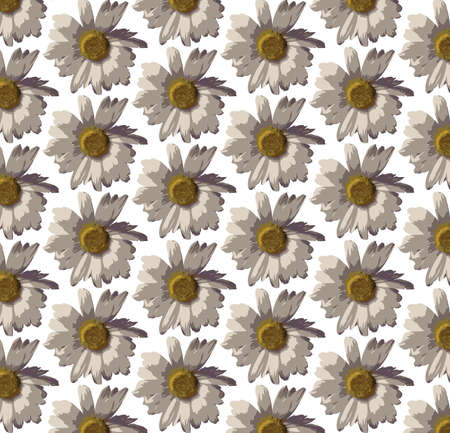 Chamomile pattern background Vector. Spring Summer Watercolor painted floral card background textureのイラスト素材