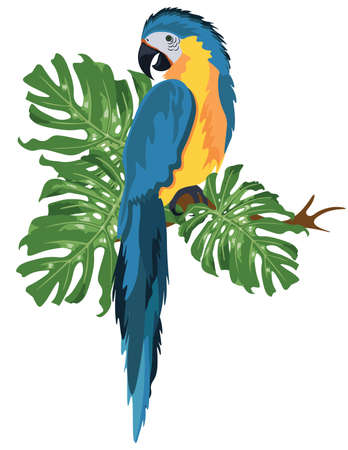 Parrot sitting on a tree branch isolated. Vector tropical birdsのイラスト素材