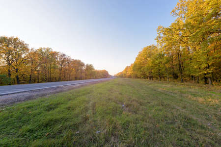 Autumn forest with Sun light, colorful trees and leaves