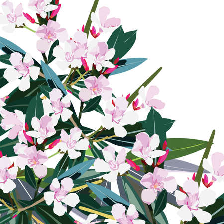 Pink flowers bouquet Vector. Exotic Summer floral backgroundのイラスト素材