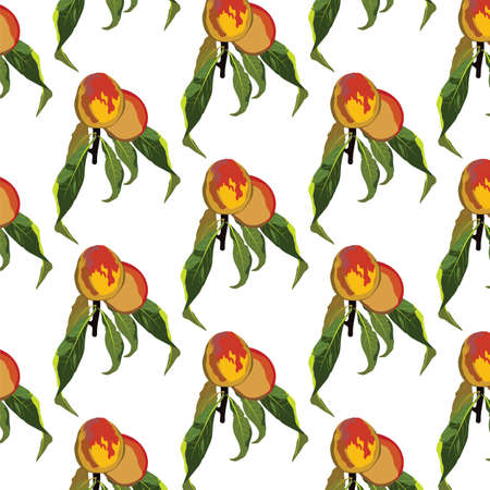 Fresh peaches pattern Vectorのイラスト素材