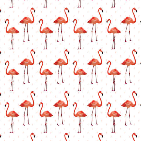 Flamingo birds pattern Vectorのイラスト素材