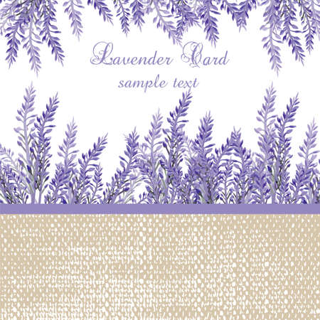 Lavender Card with provence style border. Vector Gentle blossom floral bouquet. Vintage Label with lavender beautiful fragranceのイラスト素材