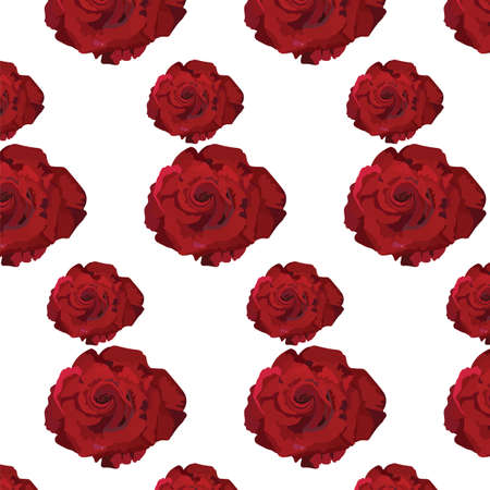 Watercolor Dark Red Rose pattern. Vector rose flower for background greeting cards and invitations of the wedding, birthday, Valentine's Day, Mother's Dayのイラスト素材