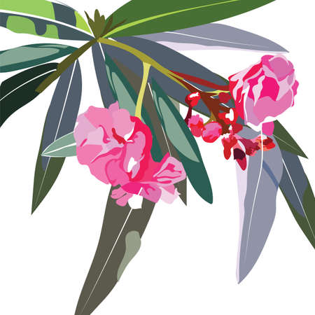 Tropic flowers branch Vector card. Tropic Exotic floral backgroundのイラスト素材