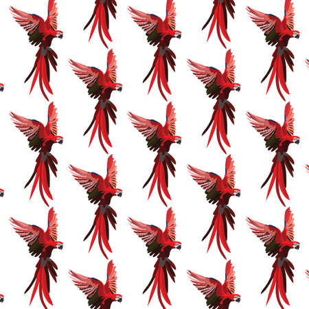 Colorful Red flying parrot Vector pattern background