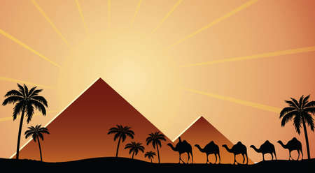 Egyptian pyramids at sunset with camels walking Vector illustrationのイラスト素材