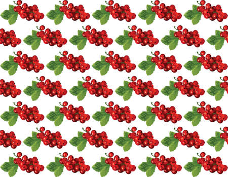 Cranberries Vintage pattern Vector. Watercolor painting. Red berry, green colorsのイラスト素材