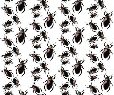 Bug pattern Vector background