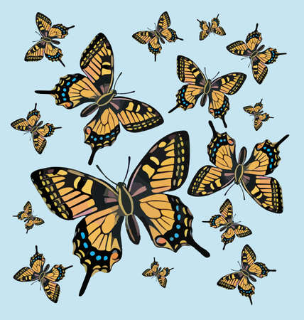 Butterfly pattern background Vectorのイラスト素材