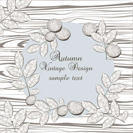 Autumn Vintage card with greek nuts on wood background. engraved technique. Retro poster with Seasonal Flavorsのイラスト素材