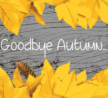 Goodbye Autumn text banner. Golden yellow maple leaves on wood background Vectorのイラスト素材