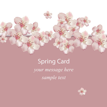 Cherry flowers blossom spring card Vector illustration. Delicate decor for anniversary, wedding, birthday, events.のイラスト素材