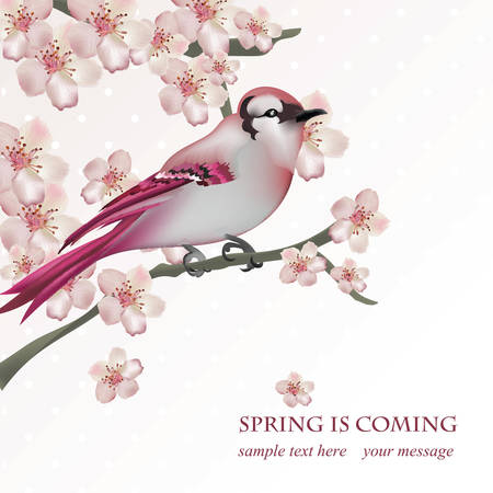 Spring bird on blossom cherry tree branch Vector illustration. Beautiful Postcard for Mothers Day, Birthday, Anniversary. Pastel pink colors. Vector illustrationのイラスト素材