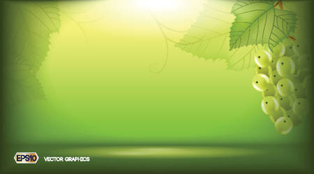 Digital vector Greenery Background for infographics . White vine grapes. Green natural background with place for your branding. 3d illustration future design or Advertise of productのイラスト素材