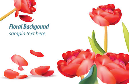 Red tulip flower background Spring season background. Vector illustrationのイラスト素材