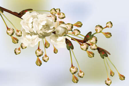 Vintage Cherry blossom round card frame. Spring delicate flowers Wedding Invitation. Place for text. Vector illustrationのイラスト素材