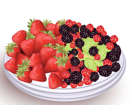Fresh fruits on a white plate.のイラスト素材
