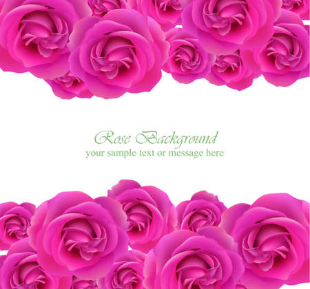 Pink roses card Vectorのイラスト素材
