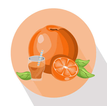 Orange smoothie Summer drink Vector illustrationのイラスト素材