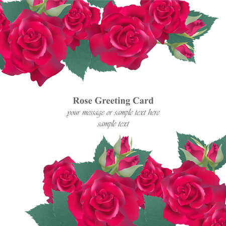Red roses card Vector. delicate summer card. Springtime fresh natural compositionのイラスト素材