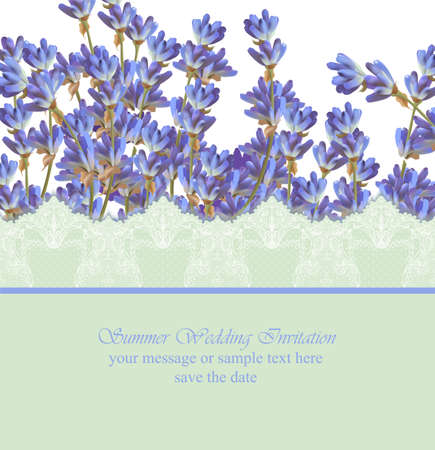 Lavender card province style. Vector detailed realistic flowersのイラスト素材